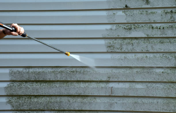 Best Roof Pressure Washing  in Cedar Grove, FL