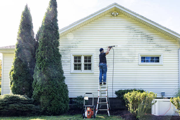 Best Pressure Washing Company Near Me  in Cedar Grove, FL