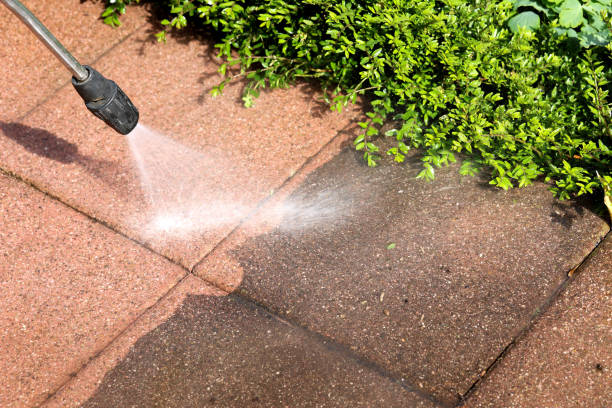Professional Pressure Washing in Cedar Grove, FL