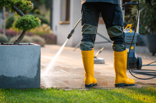 Best Commercial Building Pressure Washing  in Cedar Grove, FL